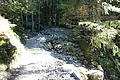 DSC05373 - Bernhard Saalfeld