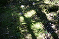 DSC05374 - Bernhard Saalfeld