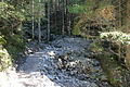 DSC05376 - Bernhard Saalfeld