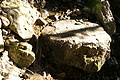 DSC05377 - Bernhard Saalfeld