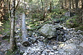 DSC05378 - Bernhard Saalfeld