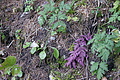DSC05379 - Bernhard Saalfeld