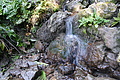 DSC05382 - Bernhard Saalfeld