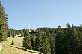 DSC05387 - Bernhard Saalfeld