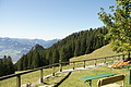 DSC05390 - Bernhard Saalfeld