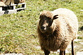 DSC05392 - Bernhard Saalfeld