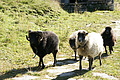 DSC05393 - Bernhard Saalfeld