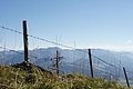 DSC05423 - Bernhard Saalfeld