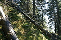 DSC05429 - Bernhard Saalfeld