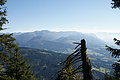 DSC05430 - Bernhard Saalfeld