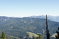 DSC05433 - Bernhard Saalfeld