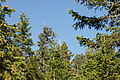 DSC05434 - Bernhard Saalfeld