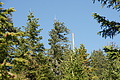 DSC05436 - Bernhard Saalfeld
