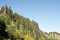DSC05437 - Bernhard Saalfeld