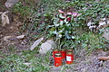 DSC05441 - Bernhard Saalfeld