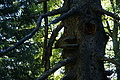 DSC05443 - Bernhard Saalfeld