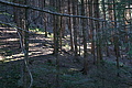 DSC05465 - Bernhard Saalfeld