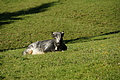 DSC05466 - Bernhard Saalfeld