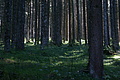 DSC05478 - Bernhard Saalfeld