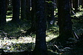 DSC05479 - Bernhard Saalfeld