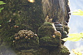 DSC05483 - Bernhard Saalfeld