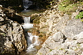 DSC05490 - Bernhard Saalfeld