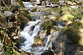 DSC05491 - Bernhard Saalfeld