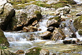 DSC05492 - Bernhard Saalfeld
