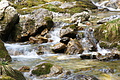 DSC05493 - Bernhard Saalfeld