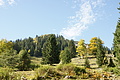 DSC05494 - Bernhard Saalfeld