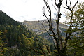 DSC05501 - Bernhard Saalfeld
