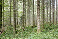 DSC05503 - Bernhard Saalfeld