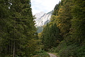 DSC05504 - Bernhard Saalfeld