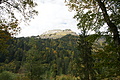 DSC05505 - Bernhard Saalfeld
