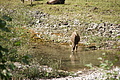 DSC05506 - Bernhard Saalfeld