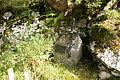 DSC05511 - Bernhard Saalfeld