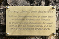 DSC05521 - Bernhard Saalfeld