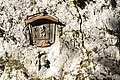 DSC05539 - Bernhard Saalfeld