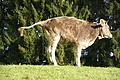 DSC05550 - Bernhard Saalfeld