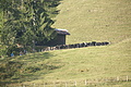 DSC05551 - Bernhard Saalfeld