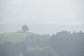 DSC05554 - Bernhard Saalfeld