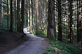 DSC05556 - Bernhard Saalfeld