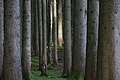 DSC05558 - Bernhard Saalfeld