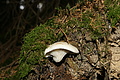 DSC05564 - Bernhard Saalfeld