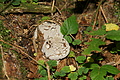 DSC05565 - Bernhard Saalfeld