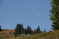 DSC05567 - Bernhard Saalfeld
