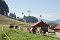 DSC05568 - Bernhard Saalfeld