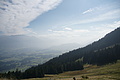 DSC05581 - Bernhard Saalfeld