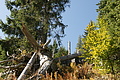DSC05584 - Bernhard Saalfeld