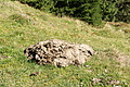 DSC05586 - Bernhard Saalfeld